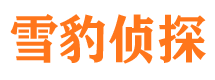 洛龙外遇调查取证